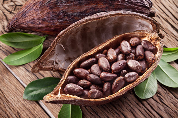 cocoa