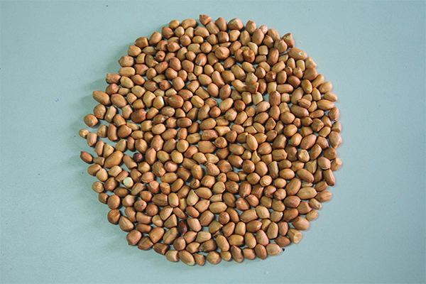 Red Groundnuts