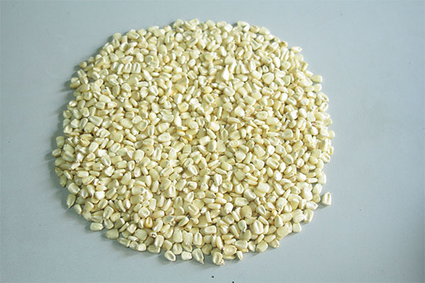 White Maize