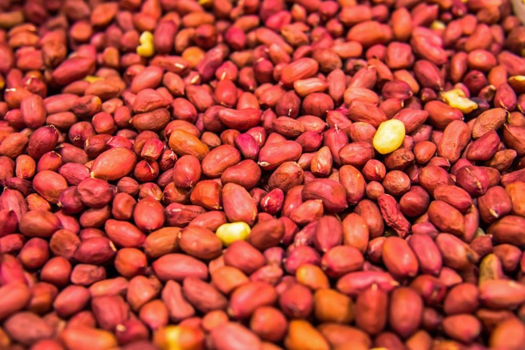 Groundnuts